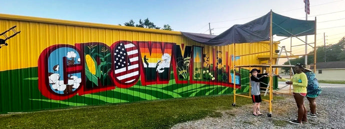 A Customer Story: Friends of Crowville Enhances Downtown Atmosphere with an Outdoor Background Music System